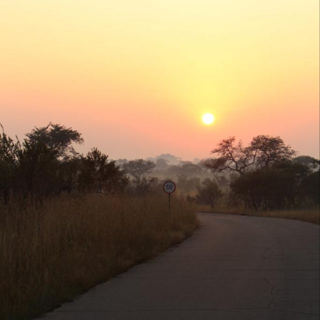 Foto des Sonnenaufgangs im Kruger Nationalpark aus dem Auto.