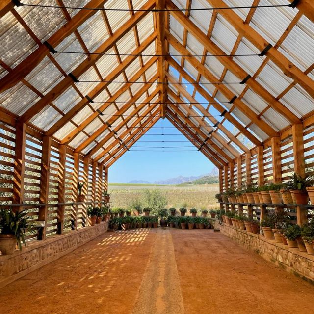 Foto aus einem Gewächshaus auf einer Weinfarm bei sonnigem Wetter.