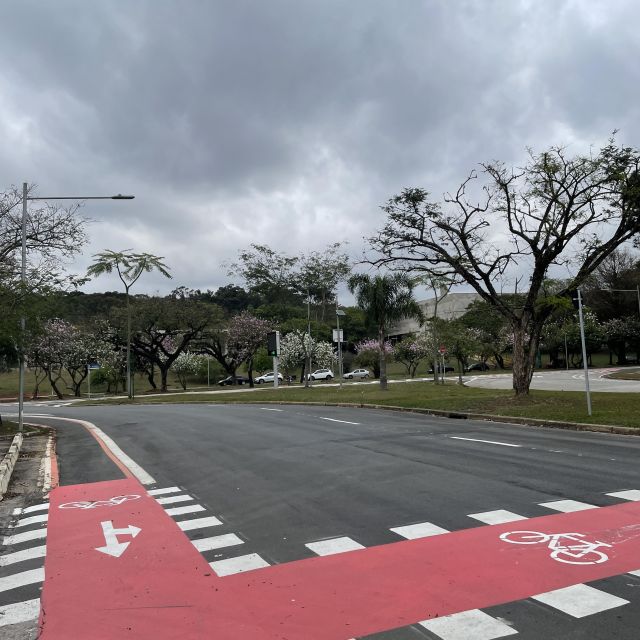 Eine Straße mit Fahrradweg auf dem Campus der staatlichen Universität São Paulo.