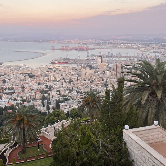 Im Vordergrund Palmen, im Hintergrund Die Stadt Haifa mit Hafen und Meer.