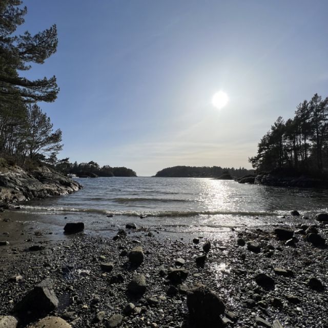 Strand mit Sonne und ganz viele Muscheln in Norwegen