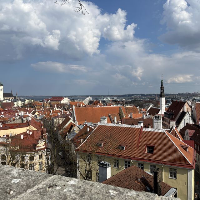 Ausblick auf die roten Dächer von Tallinn