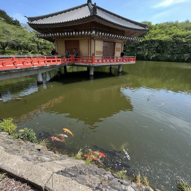 Im Teich des Abe Monju-in leben sehr viele Kois und einige Schildkröten.