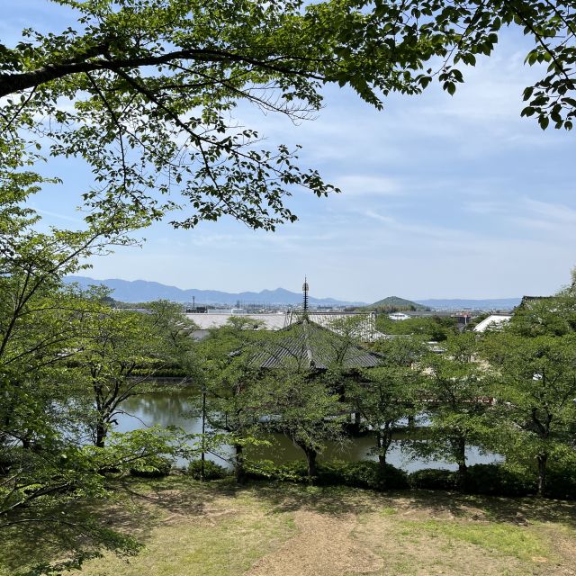 Ausblick auf Abe Monju-in vom Waldbereich der Anlage.