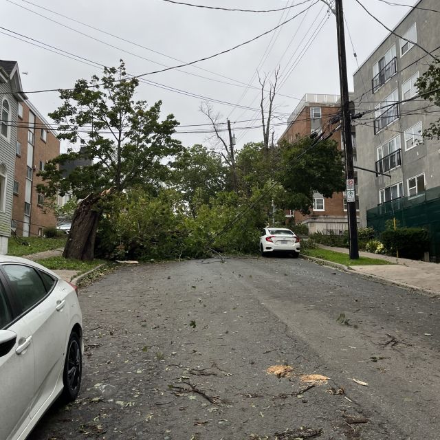 Ein Blick auf die Straße: ein Baum liegt quer auf dem Asphalt und blockiert damit die gesamte Breite. Der Baum liegt zudem auf einem weißen Auto.
