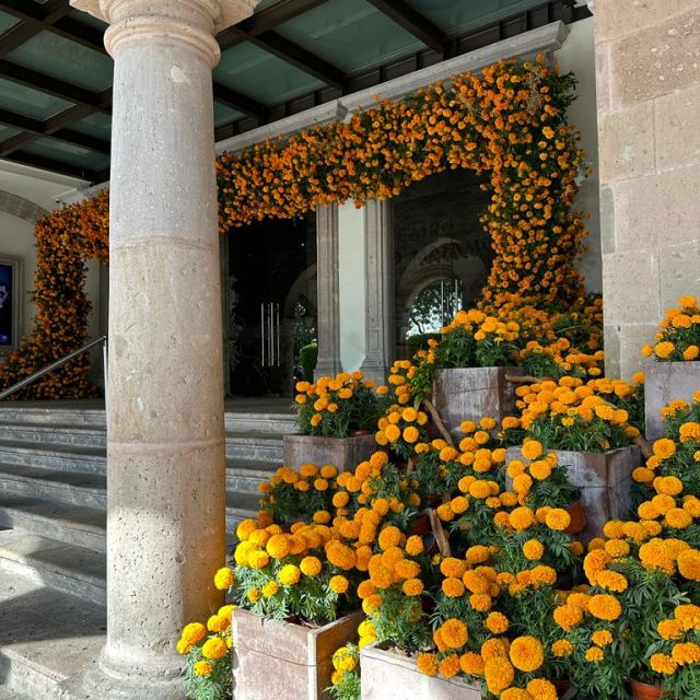 Die Blumen als Dekoration vor dem Eingang des Theaters.