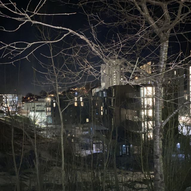 Im Vordergrund Baum, der durch den Fotoblitz erleuchtet ist, im Hintergrund Studentenwohnheim. Der Himmel ist dunkel.