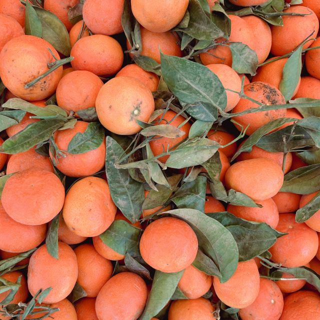 Frische Orangen mit Blättern auf einem Haufen